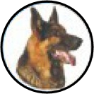 logo ZKO Libeň